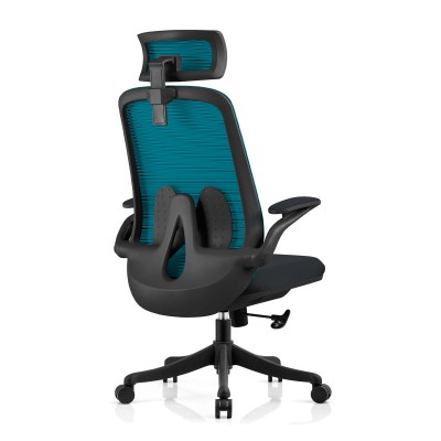 Ергономічне крісло Nicolo Blue Black Синьо-Чорний